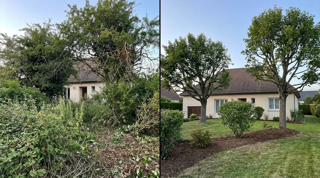 Résultat élagage à Épernay — Elagage Épernay